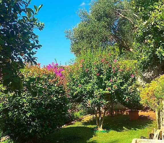 Karolina Apartment *