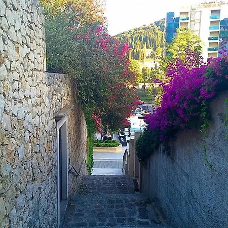 Apartament Karolina *