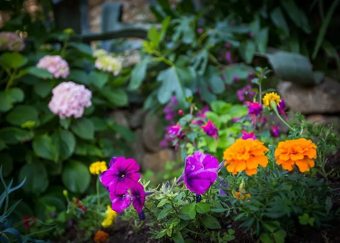 Apartment Karolina Dubrovnik